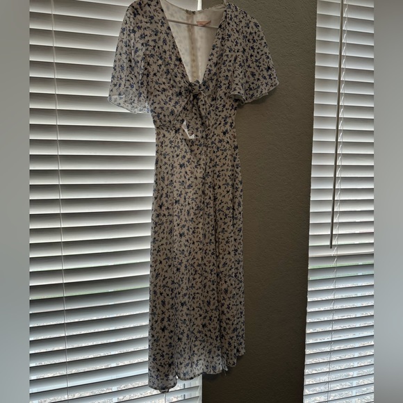 ShowPo Dress - Picture 2 of 3